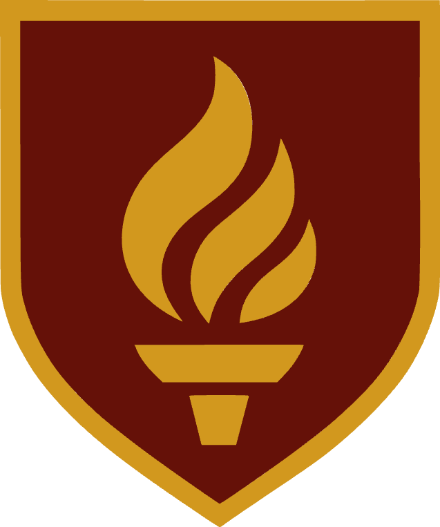 Escudo de IGNIS Formación